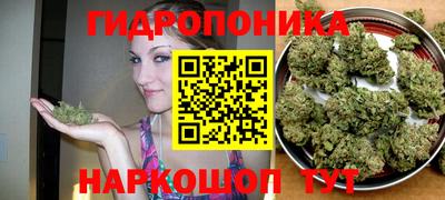 круглые Будённовск