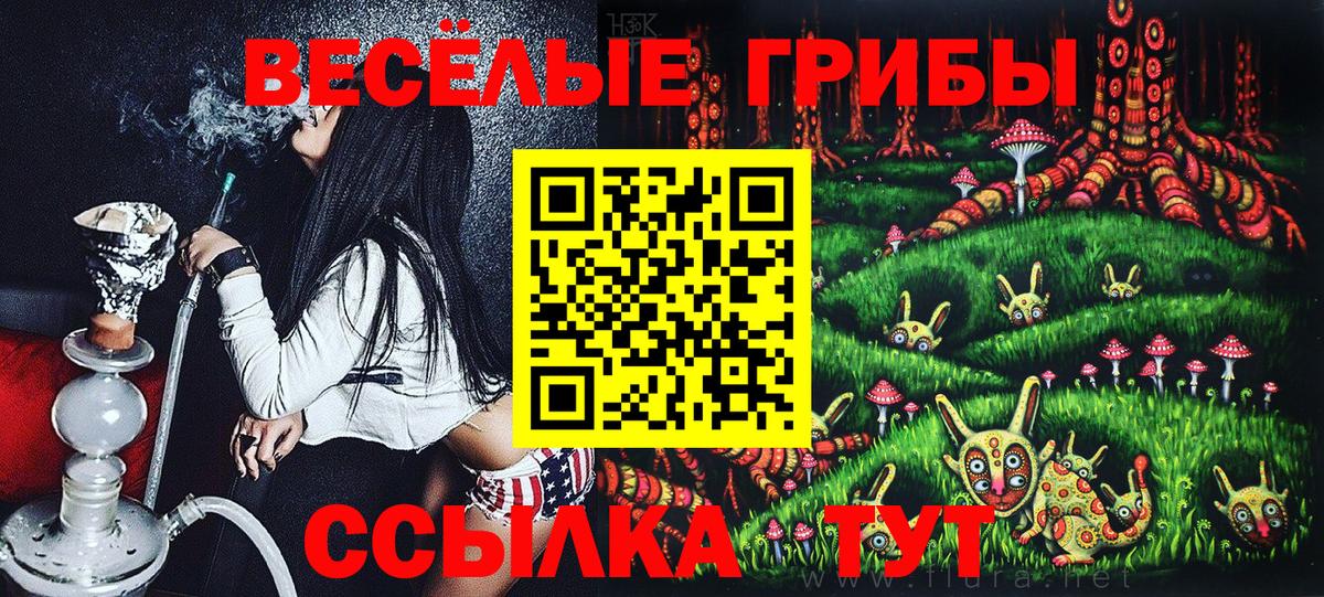 Семёнов  Псилоцибиновые грибы Cubensis  Вход с VPN 